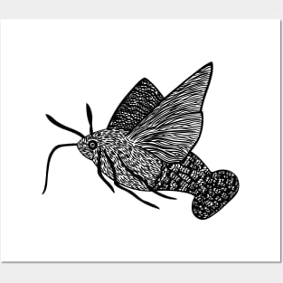 Hummingbird Hawk-Moth - flying insect design - on white Posters and Art